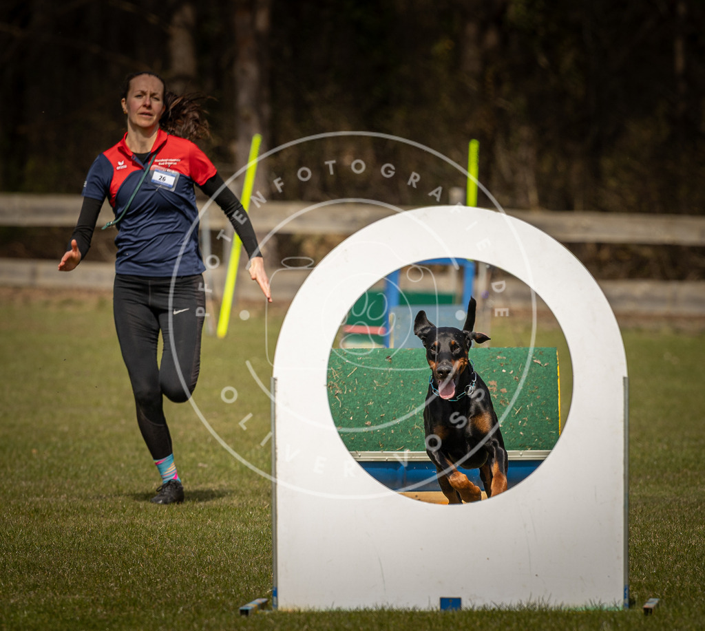 Pfotenfotografie_DV3A5618 | Hundefotografie, Tierfotograf, Pfotenfotografie, Fotoshooting Hund, Hunde Portrait, Hundesport, Hundeportraits, Heideshooting, Hunde, Sportfotograf, Hundefotograf, Turnierhundsport, THS,  - Realisiert mit Pictrs.com