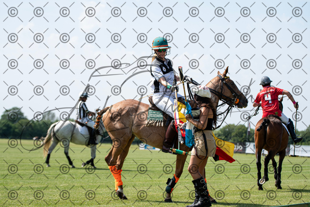 POL_2292 | andre_photographic