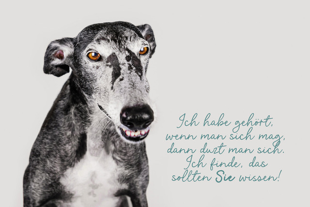 Nico mag Sie nicht | "Ich habe gehört, wenn man sich mag, dann duzt man sich. Ich finde, das sollten Sie wissen!"