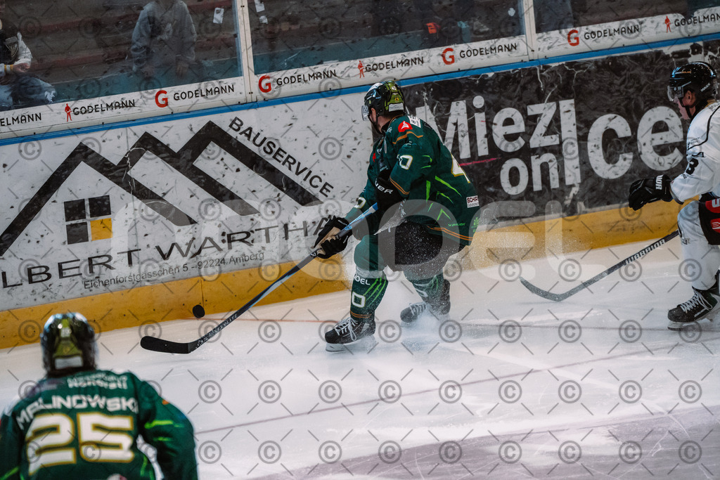 Alligators_vs_Erfurt_06_09_2026-15 | Die Fotogalerie von Daddel: professionelle Bilder von Sport, Events und Unternehmen aus Franken. Jetzt Galerien durchstöbern und Lieblingsfotos bestellen. - Realisiert mit Pictrs.com