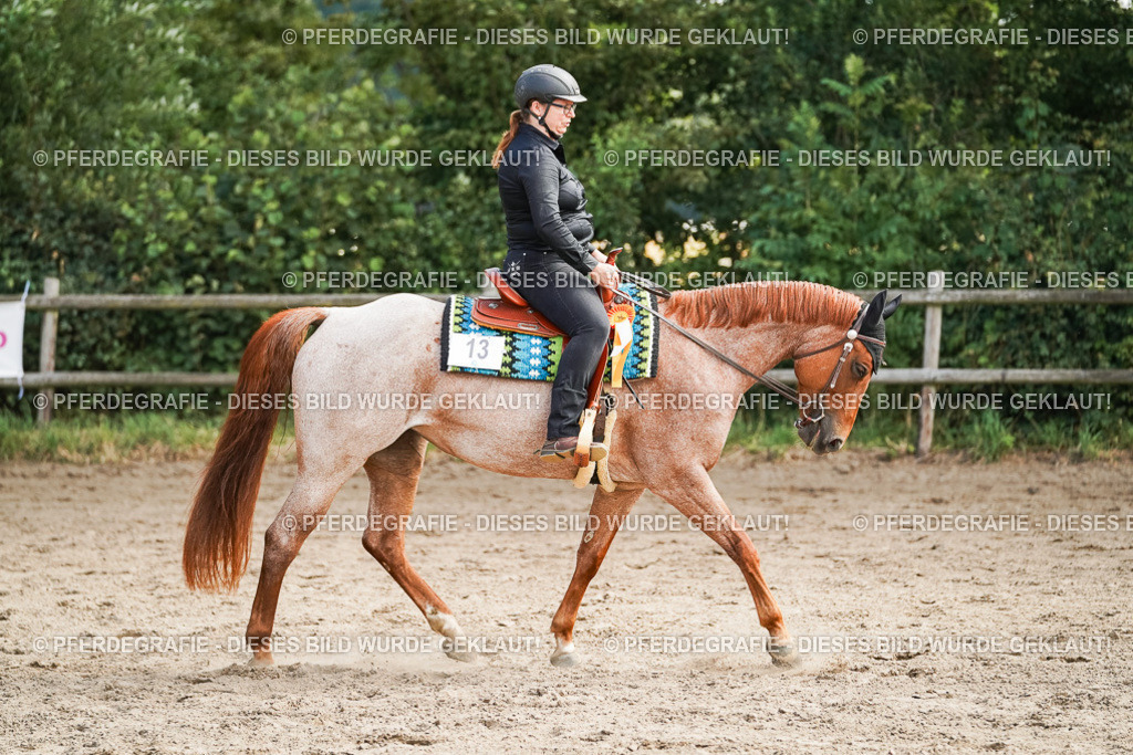 DSC04691 | Pferdegrafie