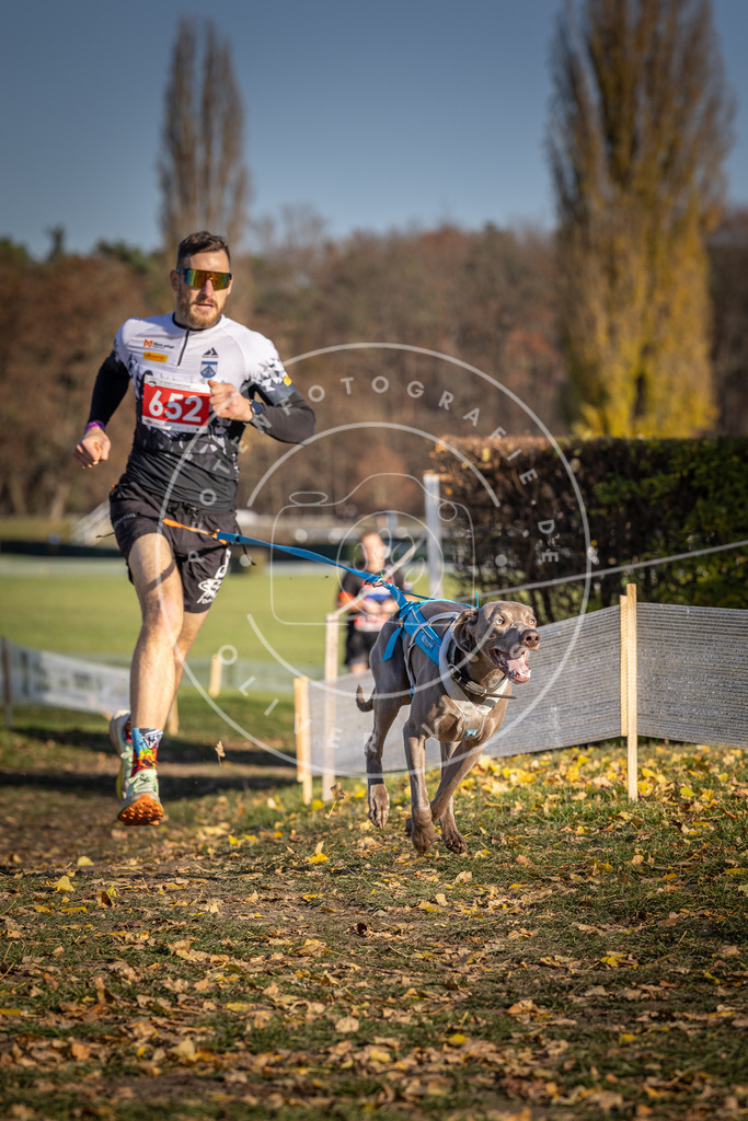 CaniXpix_DV3A0495 | Hundefotografie, Tierfotograf, Pfotenfotografie, Fotoshooting Hund, Hunde Portrait, Hundesport, Hundeportraits, Heideshooting, Hunde, Sportfotograf, Hundefotograf, Turnierhundsport, THS,  - Realisiert mit Pictrs.com
