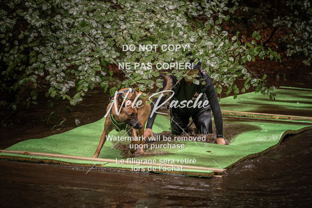 nelerasche_Wingst_Sa1330-1400_80 | nelerasche
