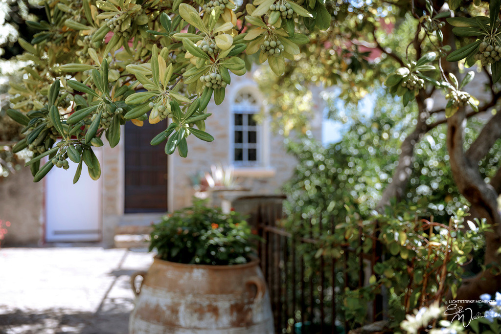 Bormes-les-Mimosas | Herzlich willkommen auf meiner Seite! Ich bin Elke Wallnisch, Deine Fotografin für lichtstarke Momente. Der Name steht für alles, was mich mit der Fotografie verbindet: Das Licht und seine machtvolle Wirkung auf eine Situation oder unsere Stimmung - Realisiert mit Pictrs.com