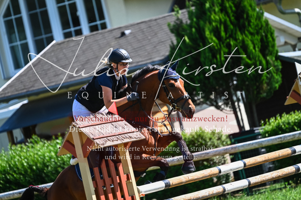 DSC_1436 | Pferde- und Turnierfotografie in Westsachsen. Pferdeportraits, Auftragszeichnungen und intuitive Kunst.