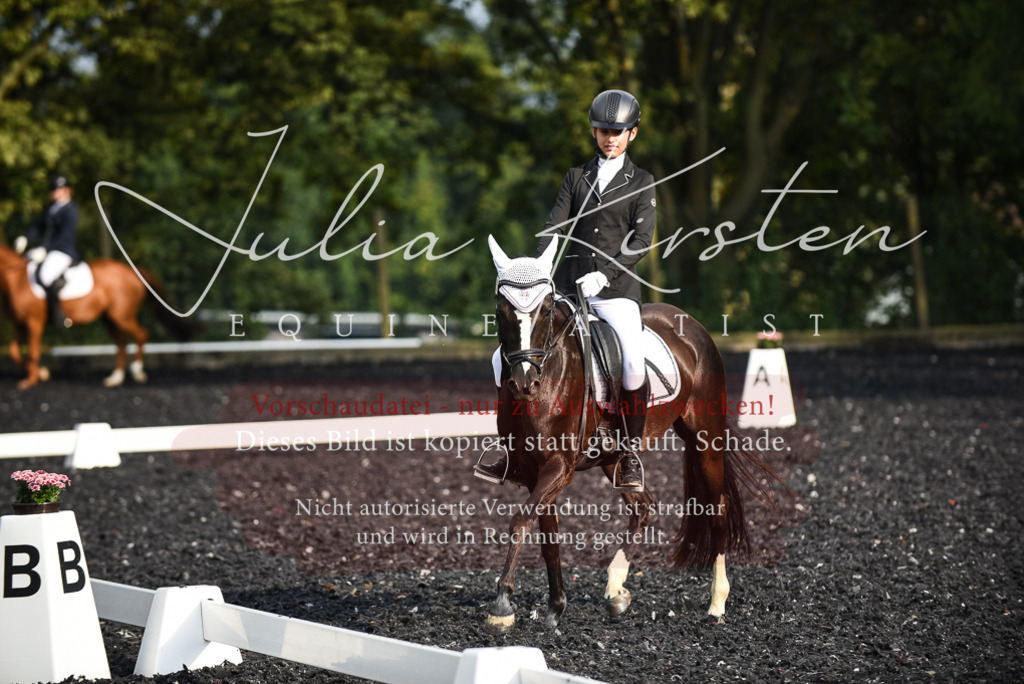 DSC_3404 | Pferde- und Turnierfotografie in Westsachsen. Pferdeportraits, Auftragszeichnungen und intuitive Kunst.