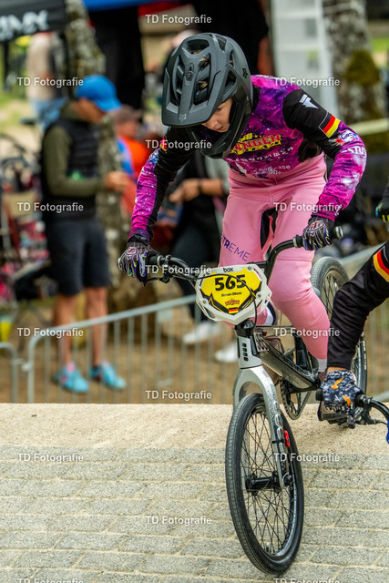 BayBMX2026-05552 | Fotogalerie von Thomas Dettweiler mit Eventbildern und lizenzfreien Fotos. Perfekt als Wandbild, für Büro, Website oder private Nutzung. - Realisiert mit Pictrs.com