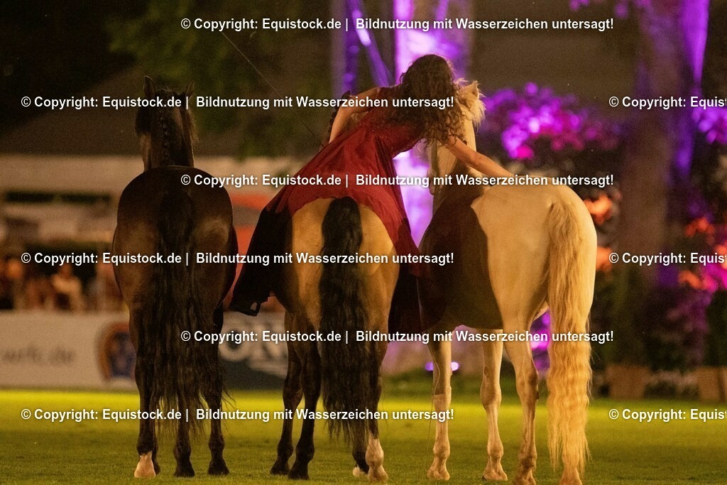 20230526_Pferdenacht_1478 | equistock