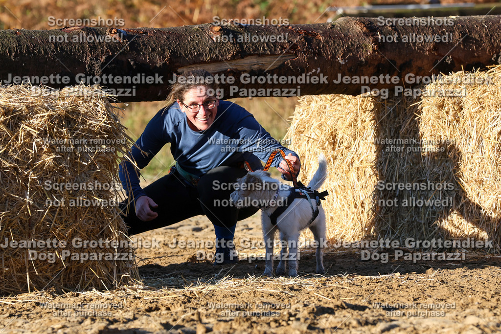 Dog Paparazzi - Strongdog 10-25-1249 | Dog Paparazzi Jeanette Grottendiek Fotografie & Videografie - Realisiert mit Pictrs.com
