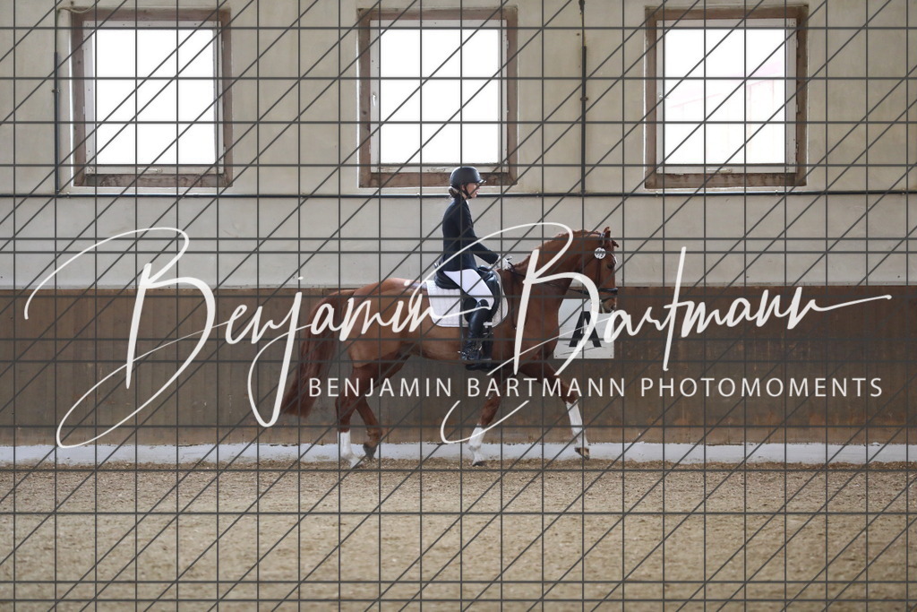 AZ2A0055 | Benjamin Bartmann Photomoments