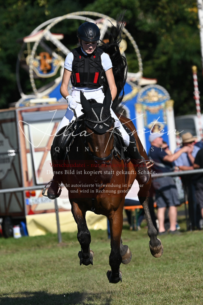 DSC_5164 | Pferde- und Turnierfotografie in Westsachsen. Pferdeportraits, Auftragszeichnungen und intuitive Kunst.