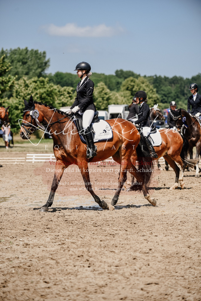 DSC_2093 | Pferde- und Turnierfotografie in Westsachsen. Pferdeportraits, Auftragszeichnungen und intuitive Kunst.