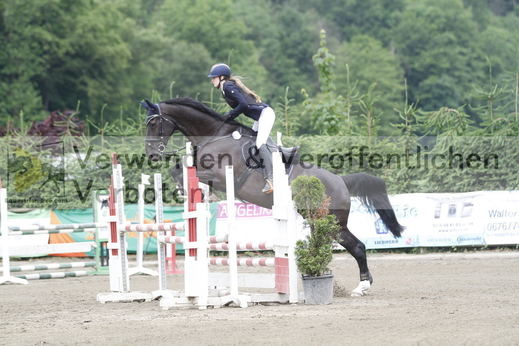 _MG_2899 | equestrian-live-com