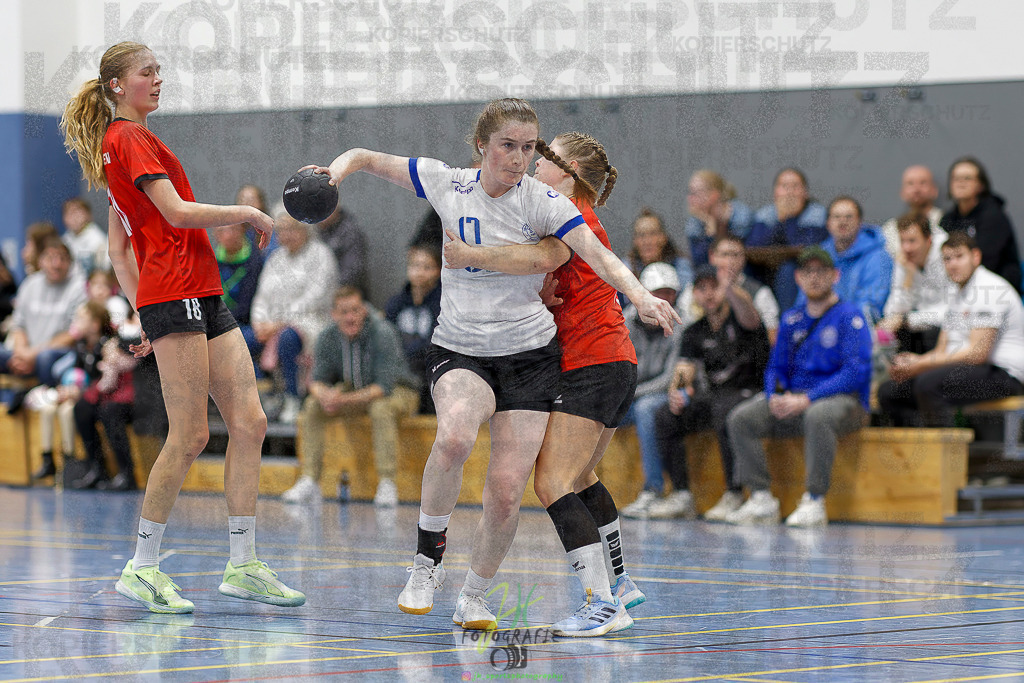 Frauen 2. Bezirksklasse; SG Rechtenbach - HSG Linden II | Frauen 2. Bezirksklasse; SG Rechtenbach - HSG Linden II am 16.11.2025 in Rechtenbach (Sporthalle Rechtenbach)Photo © 2025 - Jörg Heinrich - Realisiert mit Pictrs.com