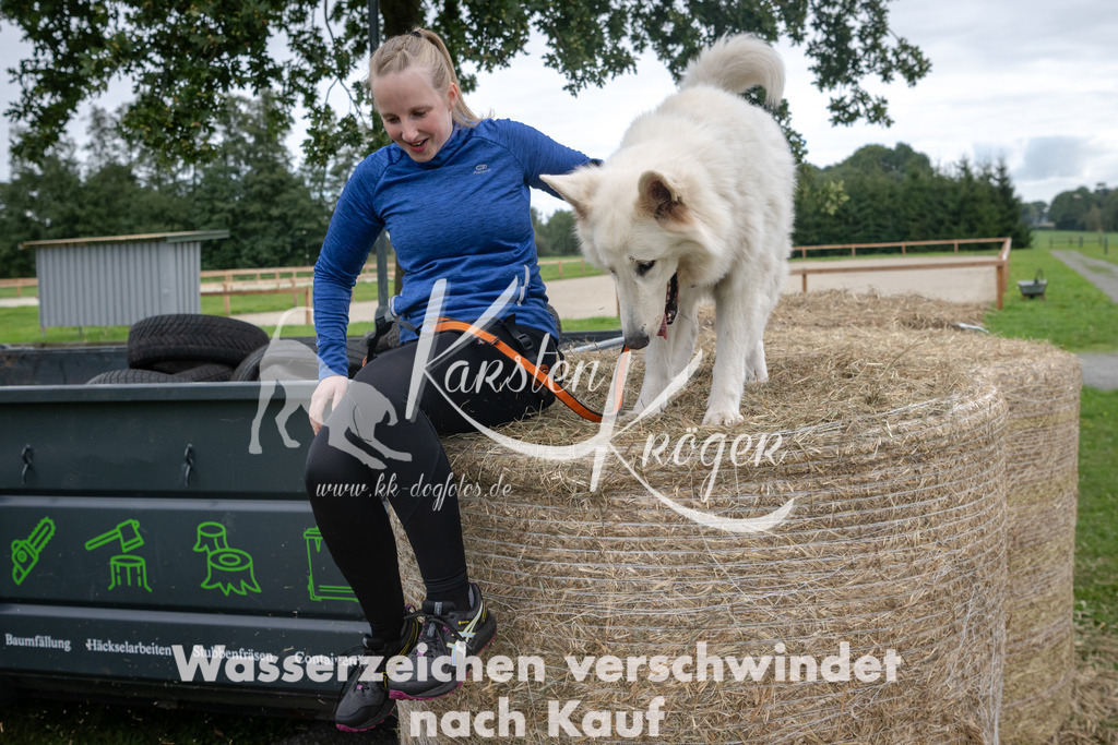 1215_ZZ90056 | kk-dogfotos