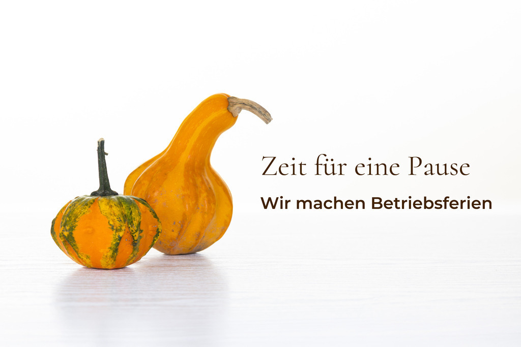 Betriebsferien im Herbst: Ankündigung mit Zierkürbissen und Text vor hellem Hintergrund (mit Freiraum für Text oder Logo) | Ankündigung für Betriebsferien im Herbst mit Zierkürbissen und Text vor hellem Hintergrund (mit Freiraum für Text oder Logo) - Realisiert mit Pictrs.com