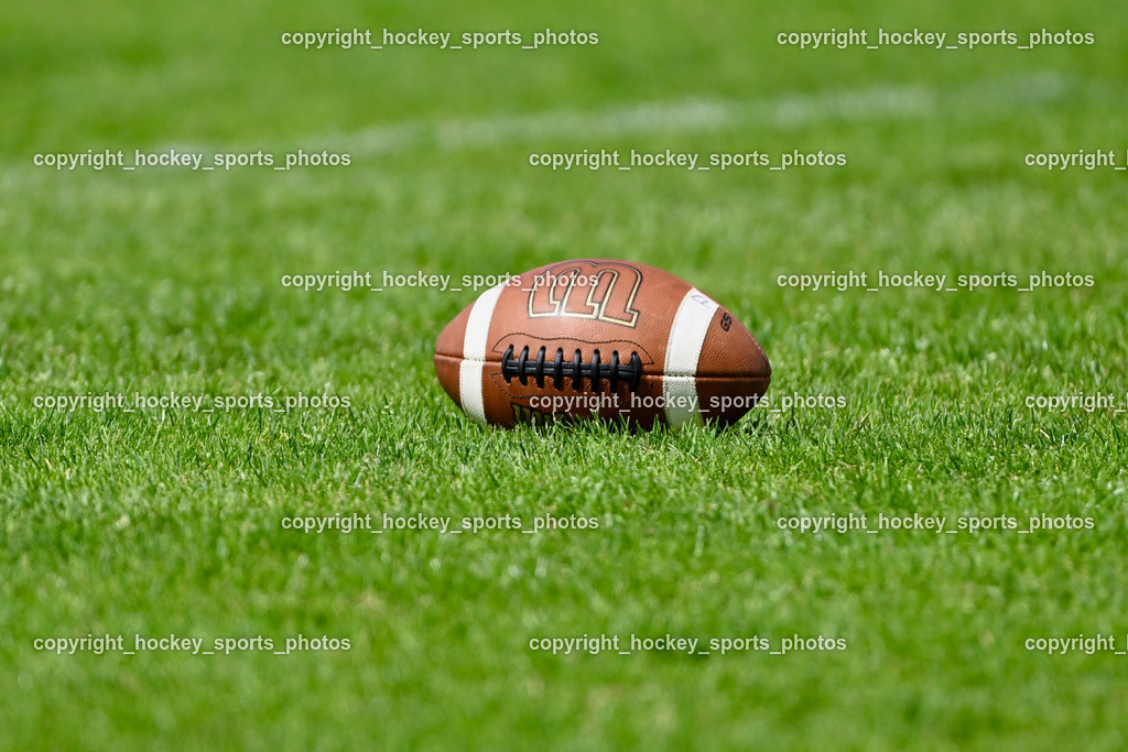 Carinthian Lions vs. Styrian Bears | Carinthian Lions vs. Styrian Bears, Carinthian Lions vs. Styrian Bears am 20.05.2024 in Klagenfurt (ASV Sportplatz), Austria, (Photo by Bernd Stefan)