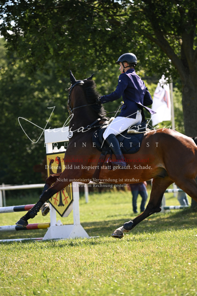 DSC_8783 | Pferde- und Turnierfotografie in Westsachsen. Pferdeportraits, Auftragszeichnungen und intuitive Kunst.