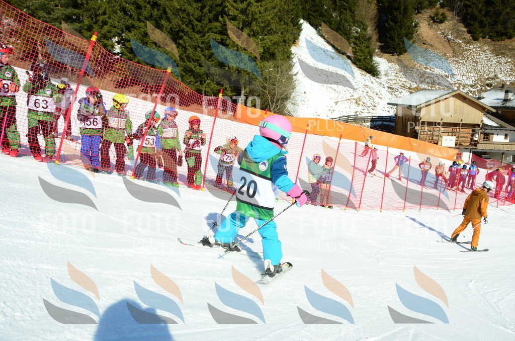 C4738 | holidayphoto