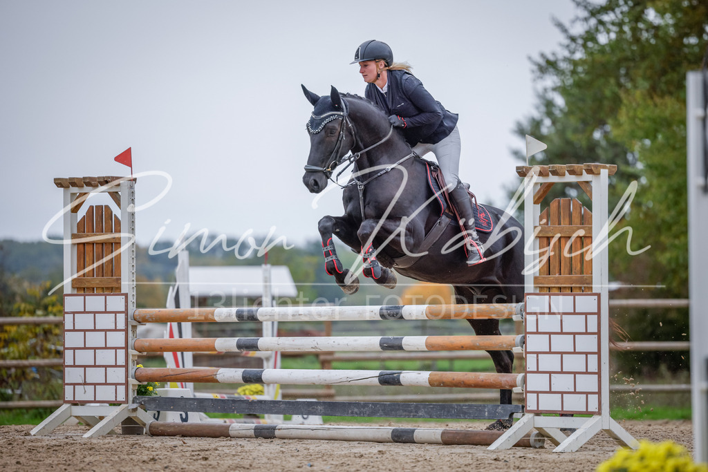 20251012-_3LI4017 | Tierfotografie Pferde, Hunde, Katzen, Haustiere.
Turnierfotografie Reitturniere, Reiten, Springreiten, Dressur in Hanau, dem Main-Kinzig-Kreis und dem Rhein-Main- Gebiet um Frankfurt