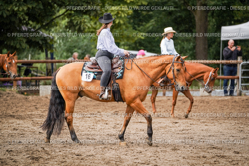 DSC09050 | Pferdegrafie