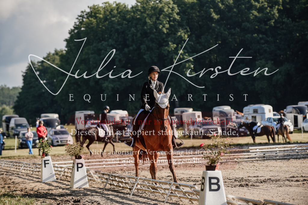 DSC_7735 | Pferde- und Turnierfotografie in Westsachsen. Pferdeportraits, Auftragszeichnungen und intuitive Kunst.
