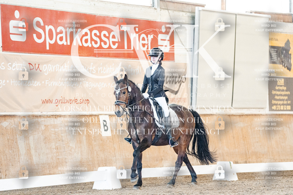 CK906625 | Turnierfotografie Pferdefotografie Trier Rheinland-Pfalz Pferdesport Reitsport Tierfotografie Sportfotografie Pferdevideo Pferdevideografie Equestrianvideography equestrianphotography  - Realisiert mit Pictrs.com