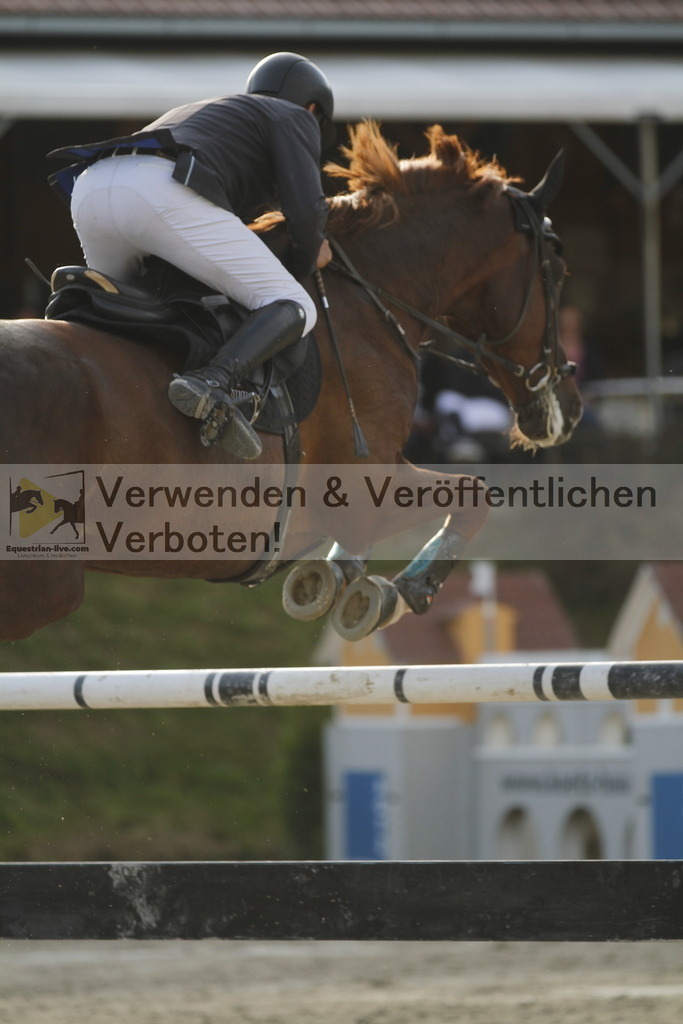 _MG_1625 | equestrian-live-com