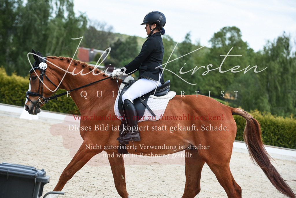 20230518_JK-Röhrsdorf-12-0083 | Pferde- und Turnierfotografie in Westsachsen. Pferdeportraits, Auftragszeichnungen und intuitive Kunst.