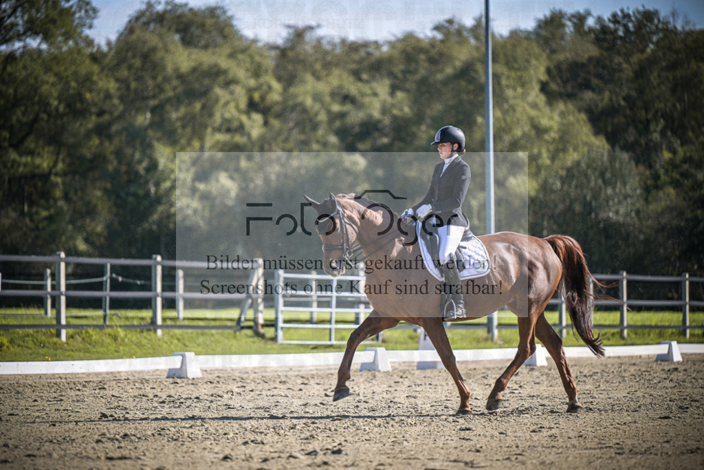 DOS_2932 | Entdecke hochwertige Reitturnierfotos von Foto Oger. Professionell, emotional und authentisch – jetzt Lieblingsmomente im Shop bestellen.Deutschlandweite Turnierfotografie. - Realisiert mit Pictrs.com