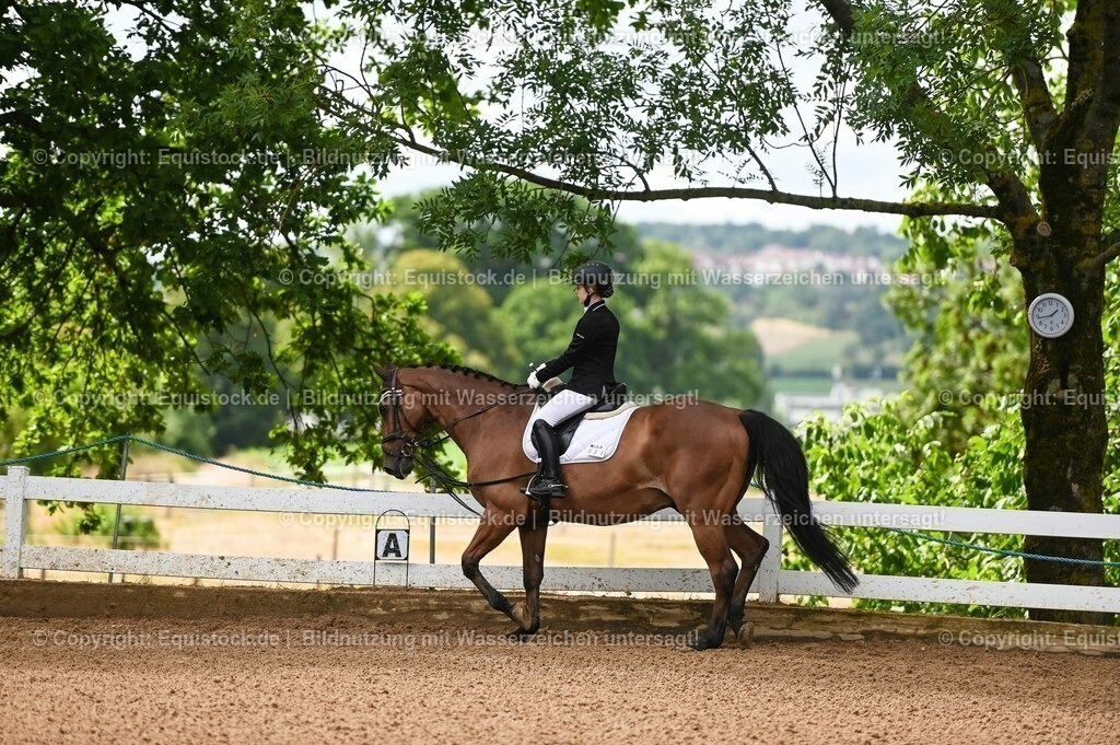 20230716_10-1_Reiter-WB Schritt - Trab - Galopp_0041 | equistock