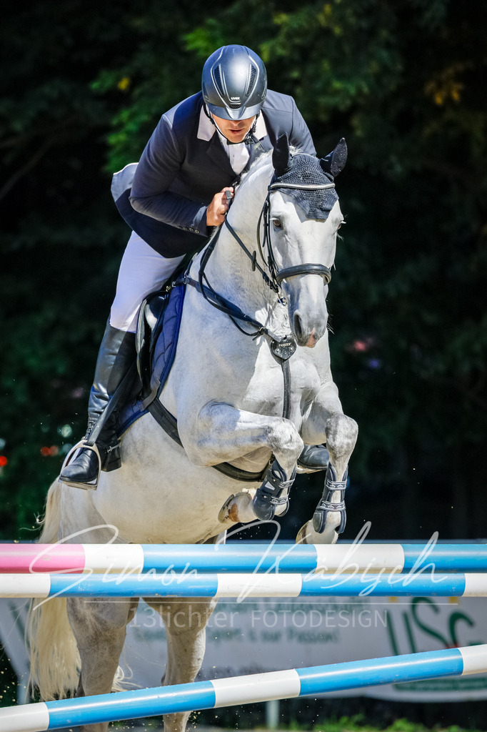20250906-_3LI3976 | Tierfotografie Pferde, Hunde, Katzen, Haustiere.
Turnierfotografie Reitturniere, Reiten, Springreiten, Dressur in Hanau, dem Main-Kinzig-Kreis und dem Rhein-Main- Gebiet um Frankfurt