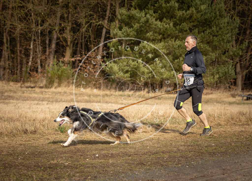 DV3A3934 | Hundefotografie, Tierfotograf, Pfotenfotografie, Fotoshooting Hund, Hunde Portrait, Hundesport, Hundeportraits, Heideshooting, Hunde, Sportfotograf, Hundefotograf, Turnierhundsport, THS,  - Realisiert mit Pictrs.com