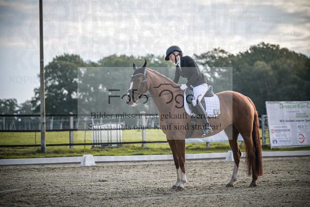 DOS_3687 | Entdecke hochwertige Reitturnierfotos von Foto Oger. Professionell, emotional und authentisch – jetzt Lieblingsmomente im Shop bestellen.Deutschlandweite Turnierfotografie. - Realisiert mit Pictrs.com