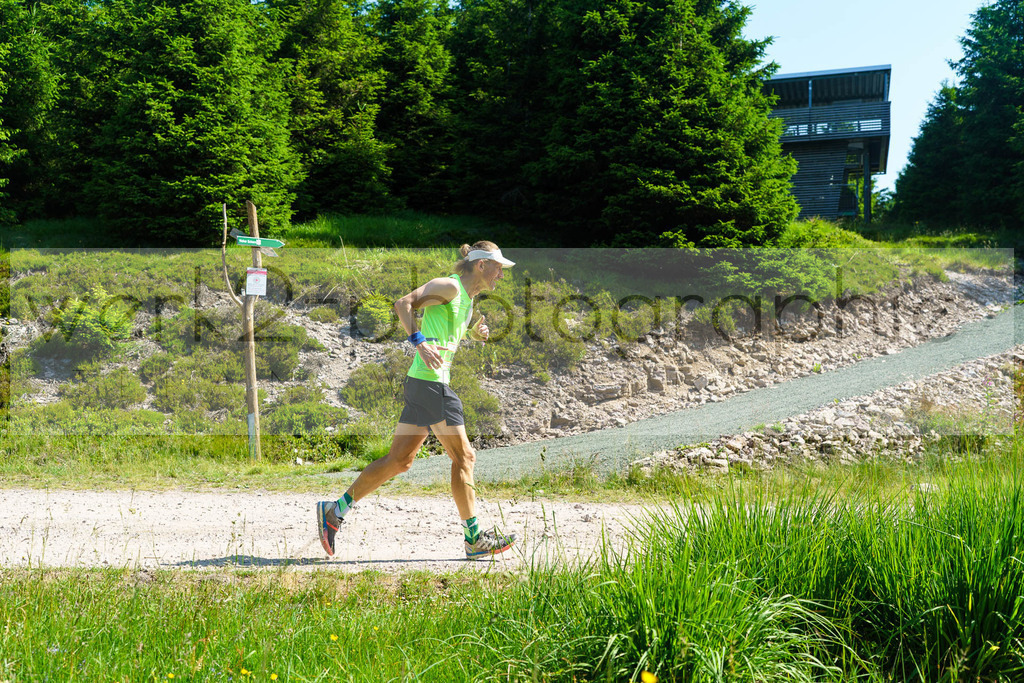 25. Rennsteig-Staffellauf | 170 km Hörschel - Blankenstein