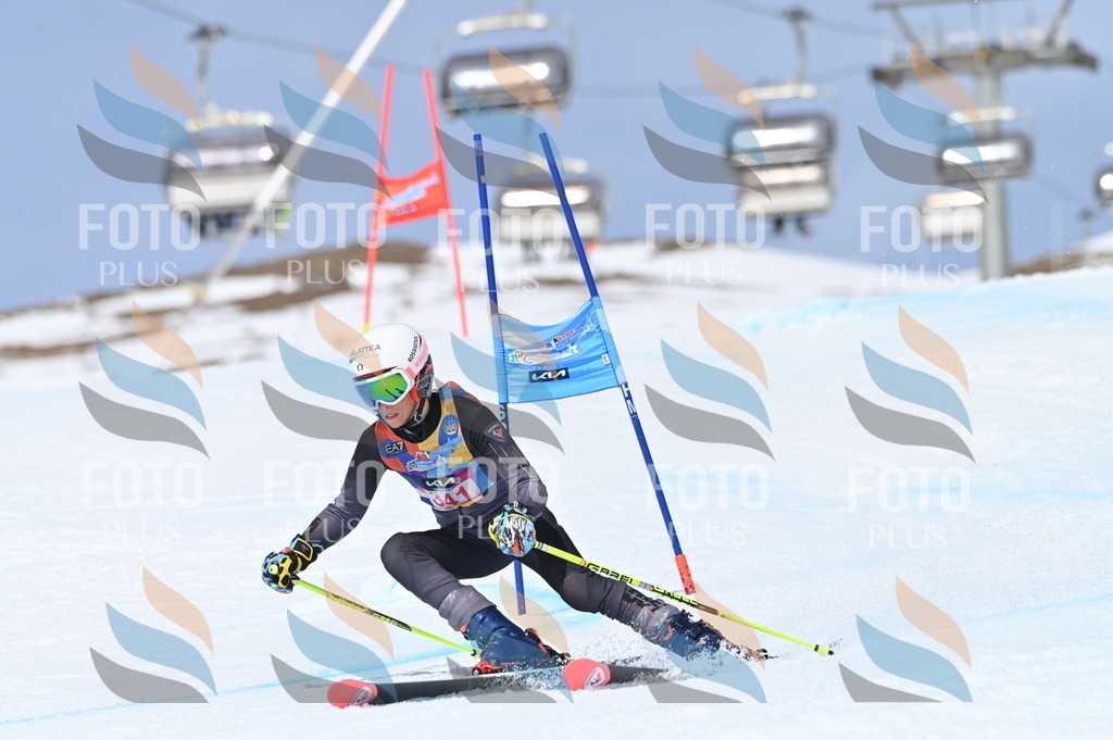 BGV_3470 | holidayphoto