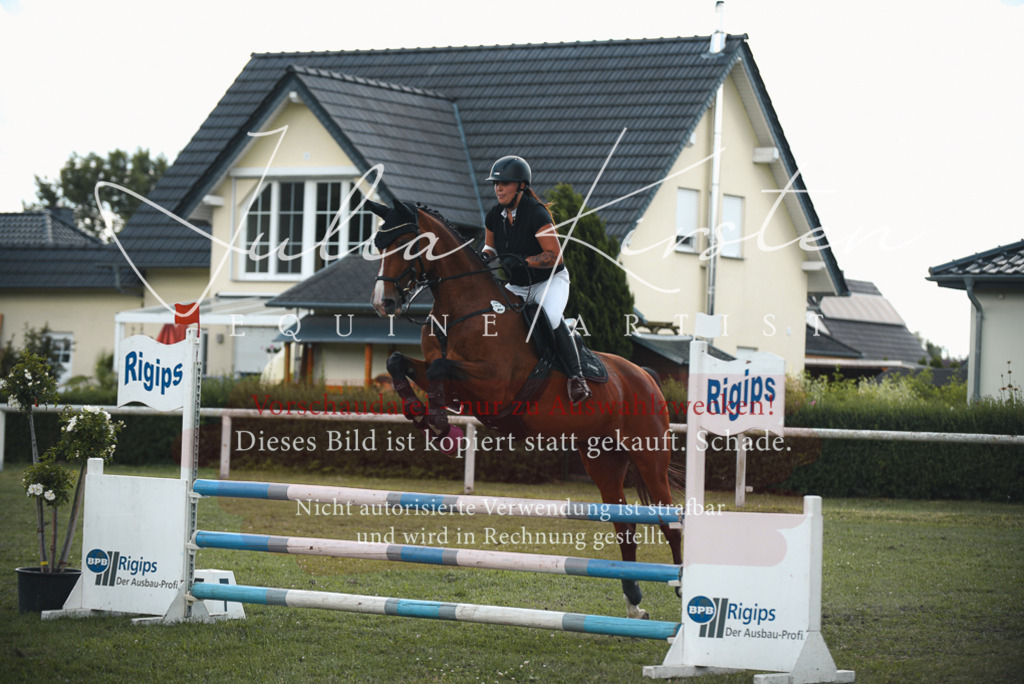 DSC_6701 | Pferde- und Turnierfotografie in Westsachsen. Pferdeportraits, Auftragszeichnungen und intuitive Kunst.