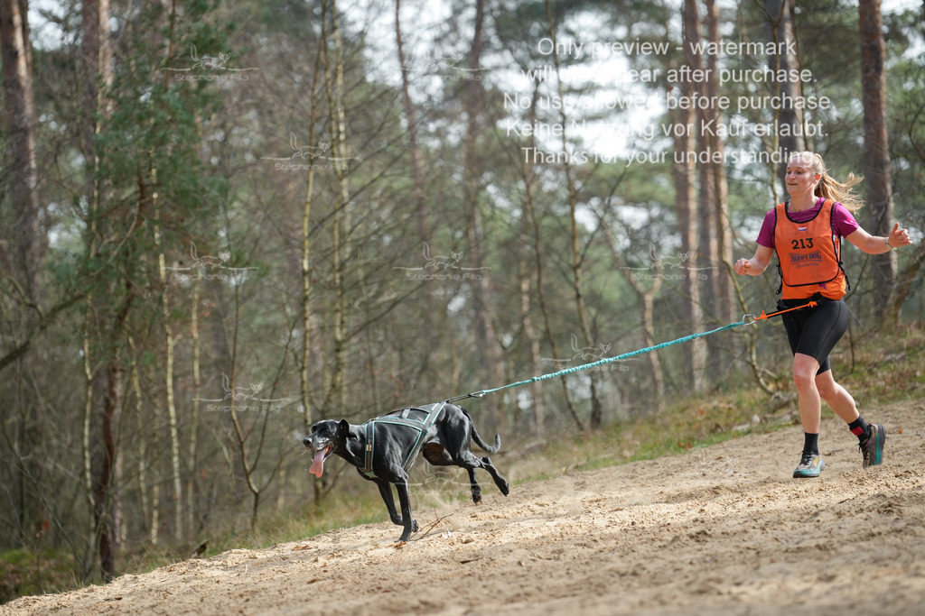 LangeCross-56 | stephaniefillaphotographie - Realisiert mit Pictrs.com