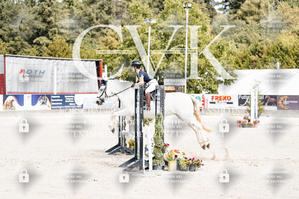 CK906189 | Turnierfotografie Pferdefotografie Trier Rheinland-Pfalz Pferdesport Reitsport Tierfotografie Sportfotografie Pferdevideo Pferdevideografie Equestrianvideography equestrianphotography  - Realisiert mit Pictrs.com