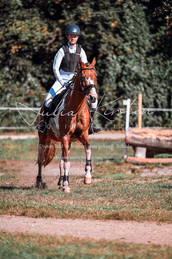 DSC_1040 | Pferde- und Turnierfotografie in Westsachsen. Pferdeportraits, Auftragszeichnungen und intuitive Kunst.
