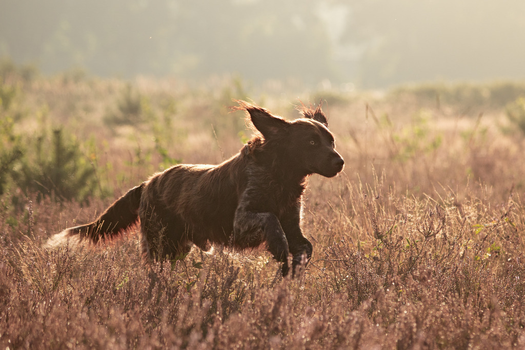 _DSC0289 | photography by friederike - Realisiert mit Pictrs.com