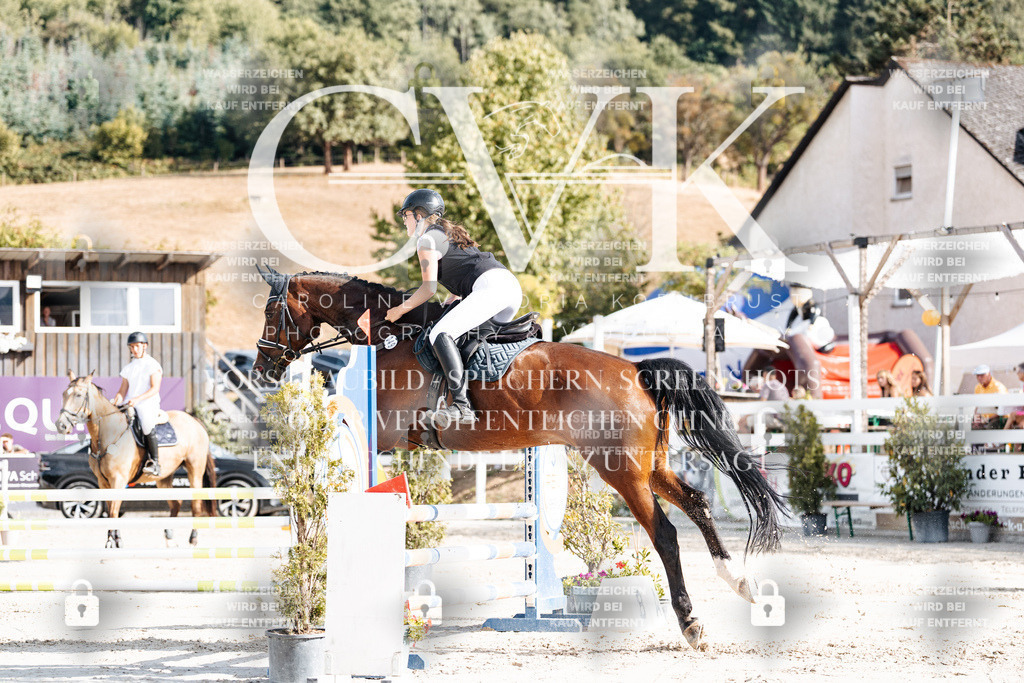 CK909142 | Turnierfotografie Pferdefotografie Trier Rheinland-Pfalz Pferdesport Reitsport Tierfotografie Sportfotografie Pferdevideo Pferdevideografie Equestrianvideography equestrianphotography  - Realisiert mit Pictrs.com