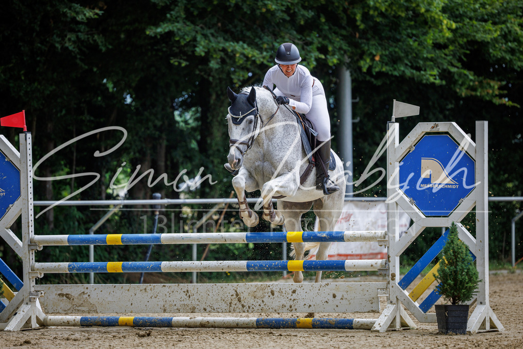 20260705-_3LI4932 | Tierfotografie Pferde, Hunde, Katzen, Haustiere.
Turnierfotografie Reitturniere, Reiten, Springreiten, Dressur in Hanau, dem Main-Kinzig-Kreis und dem Rhein-Main- Gebiet um Frankfurt