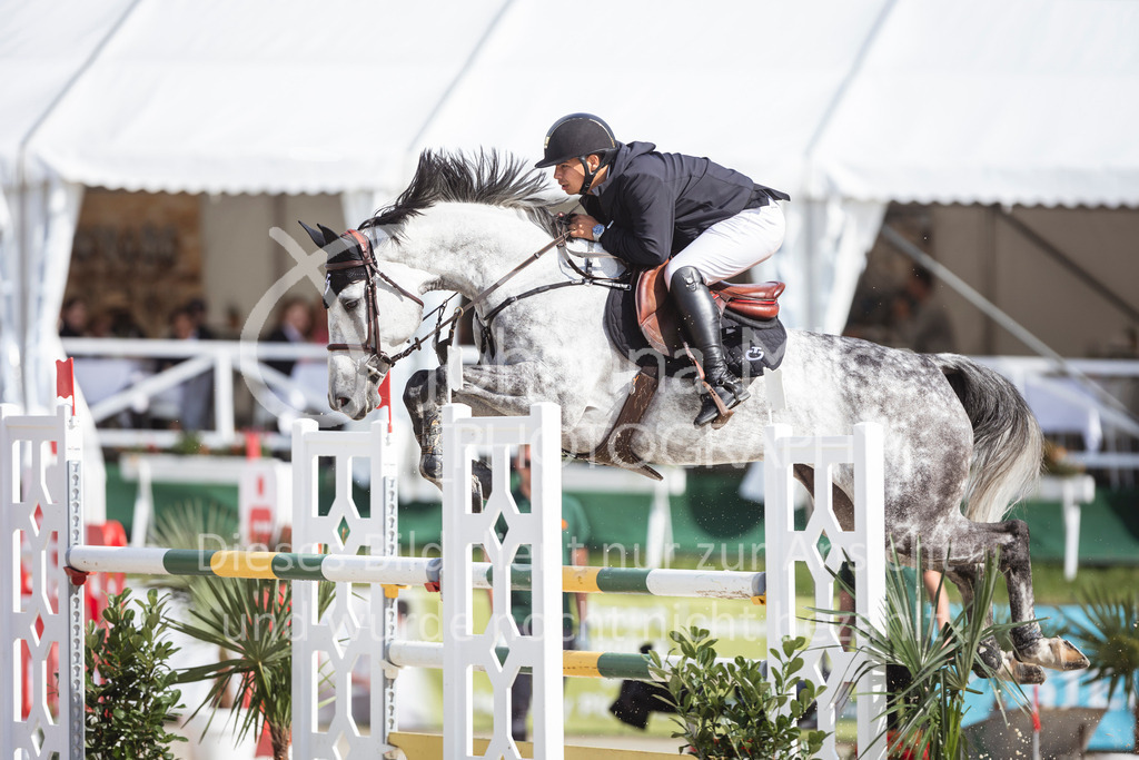 240712_BHO_ZweiPh-M2-2-635 | Deine schönsten Turniermomente als professionelle Fotos! Entdecke hochwertige Pferdesport-Fotografie im Online-Shop. Jetzt Fotos finden & bestellen!