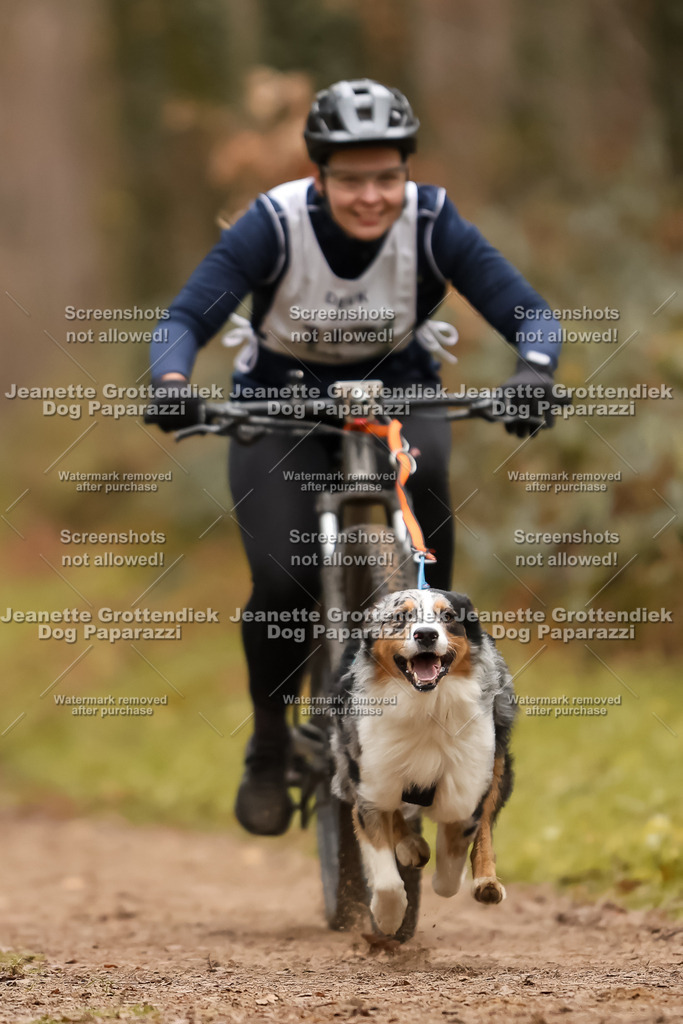 Dog Paparazzi - Speedhunter Mannheim  2025-326 | Dog Paparazzi Jeanette Grottendiek Fotografie & Videografie