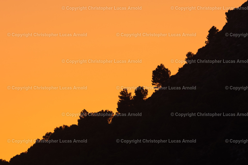 08.Aug | bildkomponist - Realisiert mit Pictrs.com