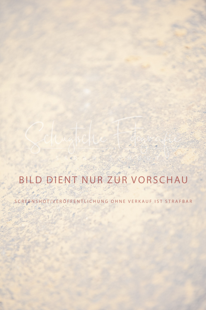 Schugtsche-Aluta25-49.Dressurpferdeprf.A-340 | Schugtsche Fotografie - Realisiert mit Pictrs.com