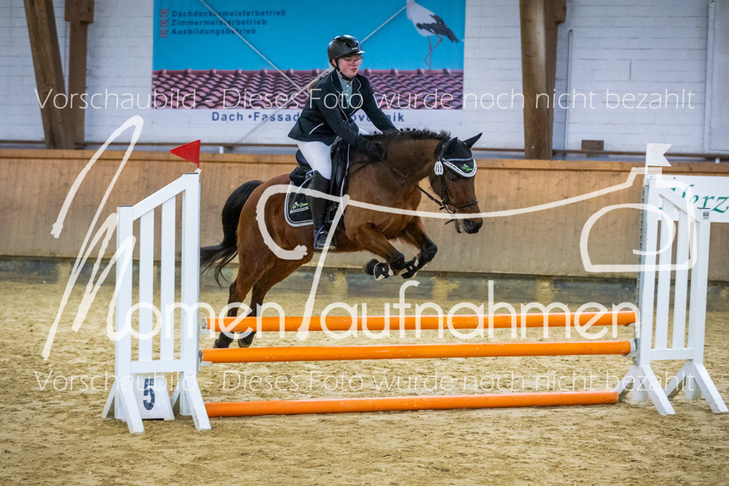 Sth-WBO25-Spr65cm-052 | MomenTaufnahmen Pferdesportfotos