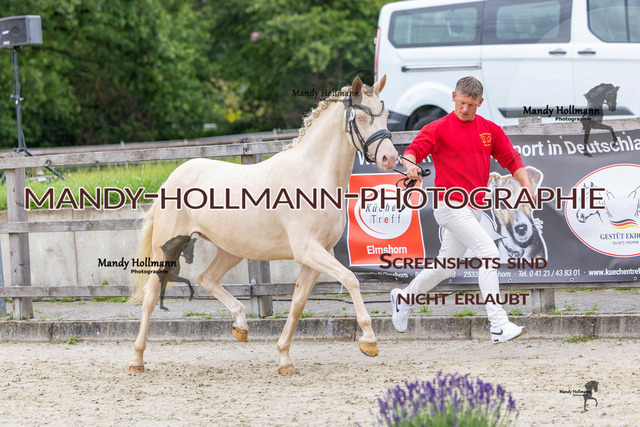 56 (9 von 48) | mandyhollmannphotographie