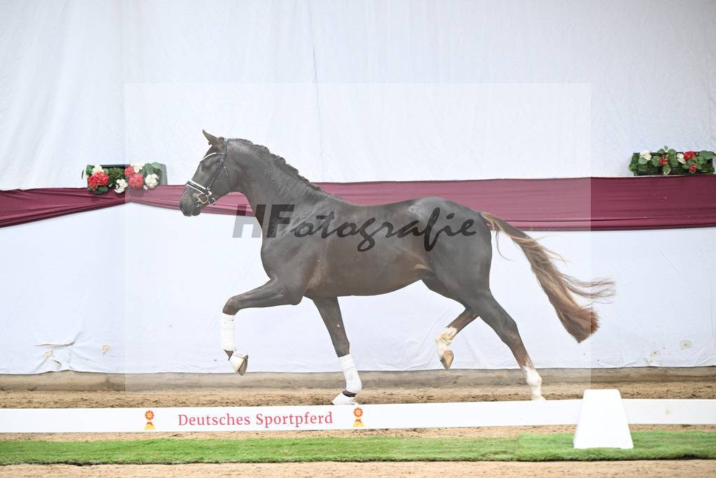 Kat-Nr. 126 Va Bene x Fuerst Jazz_Johannes Gaab_47254180 | hf-fotografie - Realisiert mit Pictrs.com